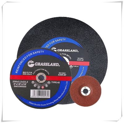Ostrze ze stali nierdzewnej 100x3,2x16mm 30grit MPA